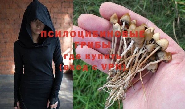 гашик Балабаново