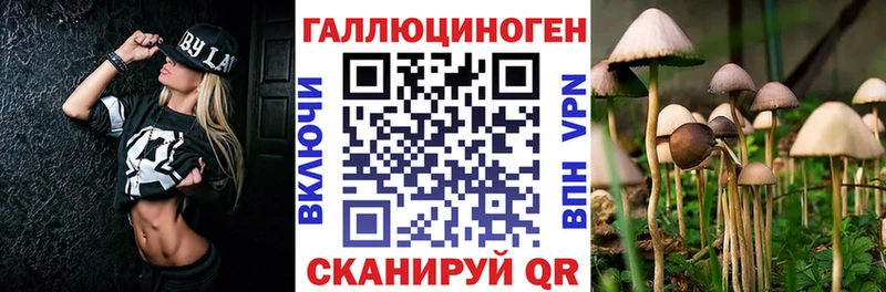 Псилоцибиновые грибы мухоморы  Навашино 