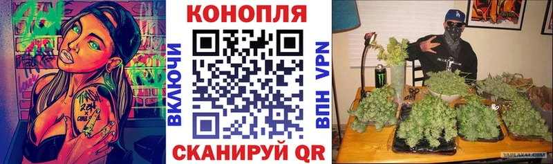 Шишки марихуана SATIVA & INDICA  ОМГ ОМГ   Навашино  наркотики 